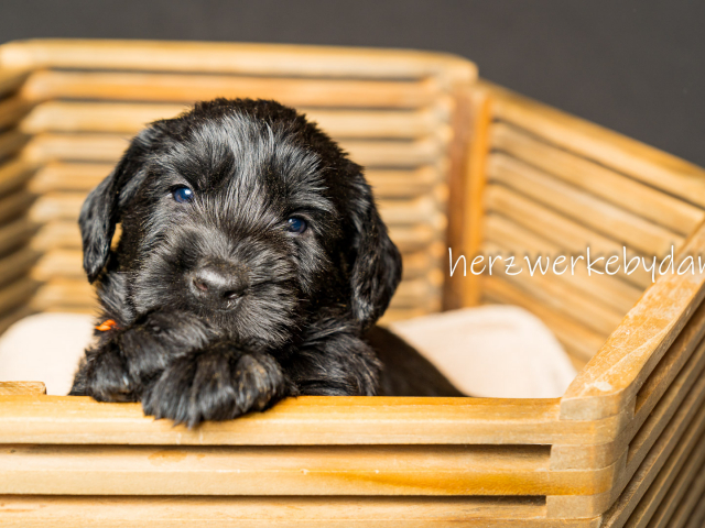 Frau Orange nach 30 Tagen